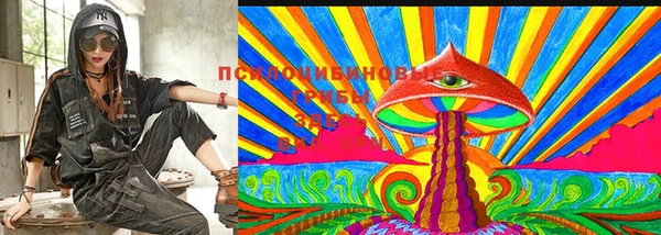 меф Пересвет
