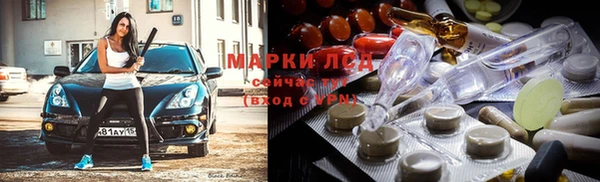 крисы Осинники
