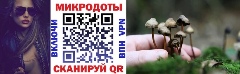 Псилоцибиновые грибы Psilocybine cubensis  Судогда 